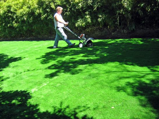 Artificial Grass Photos: Synthetic Turf Supplier Arcadia, Oklahoma Design Ideas, Backyard Landscaping Ideas
