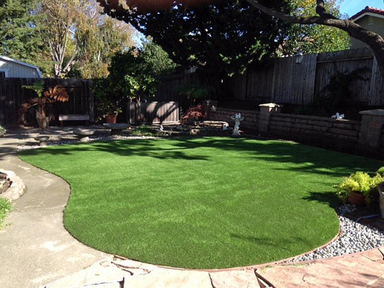 Artificial Grass Photos: Synthetic Turf Supplier Ardmore, Oklahoma Lawns, Backyard Designs