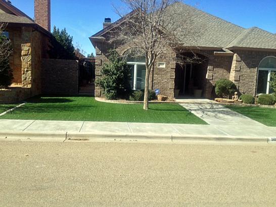 Artificial Grass Photos: Synthetic Turf Supplier Bessie, Oklahoma Backyard Playground, Front Yard Design