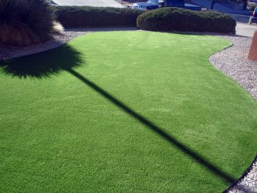 Artificial Grass Photos: Synthetic Turf Supplier Colbert, Oklahoma Landscape Design, Front Yard Design