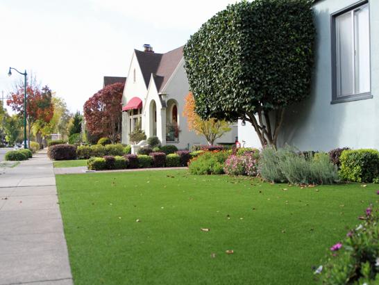 Artificial Grass Photos: Synthetic Turf Supplier Sweetwater, Oklahoma Landscape Ideas, Front Yard