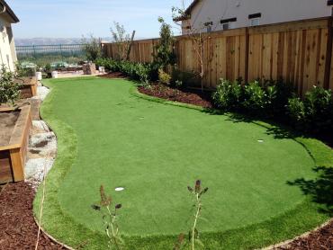 Artificial Grass Photos: Synthetic Turf Supplier Turpin, Oklahoma Indoor Putting Greens, Backyard Design