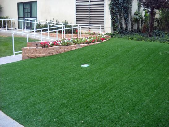Artificial Grass Photos: Synthetic Turf Zena, Oklahoma Lawns, Landscaping Ideas For Front Yard