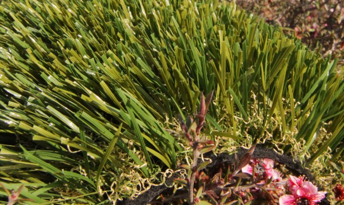 Double S-61 syntheticgrass Artificial Grass Oklahoma