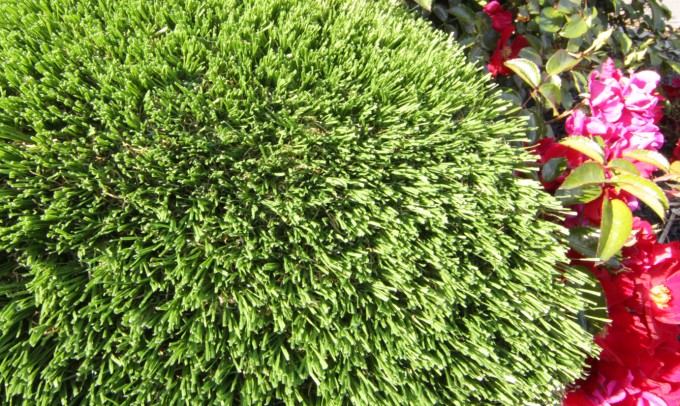 Hollow Blade-73 syntheticgrass Artificial Grass Oklahoma