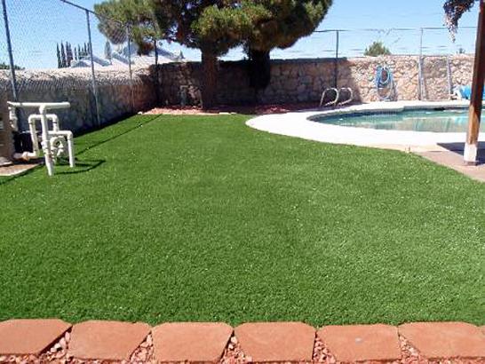 Artificial Grass Photos: Turf Grass Blackburn, Oklahoma Pictures Of Dogs, Natural Swimming Pools