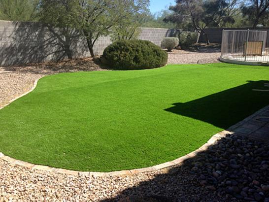 Artificial Grass Photos: Turf Grass Blue, Oklahoma Paver Patio, Backyards