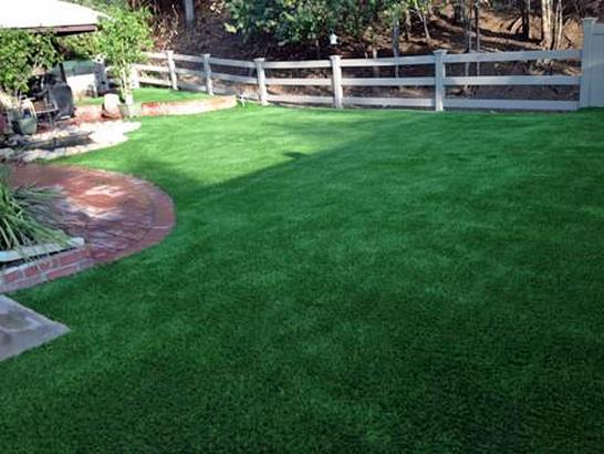 Artificial Grass Photos: Turf Grass Iron Post, Oklahoma Gardeners, Backyard Landscaping Ideas