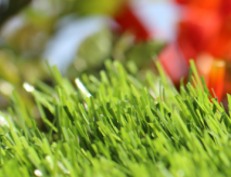 Synthetic Grass Wholesale