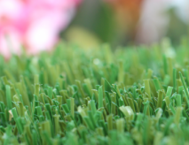 Artificial Grass With Superior Durability