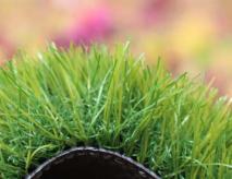 Artificial Lawn Grass For Pet Care Center