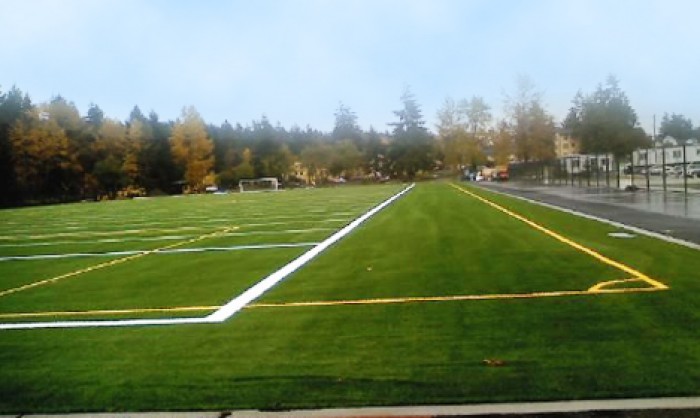 Sports Fields Synthetic Grass in  and  area