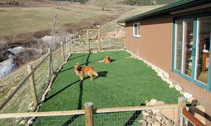 Pet Grass, Artificial Grass For Dogs in 